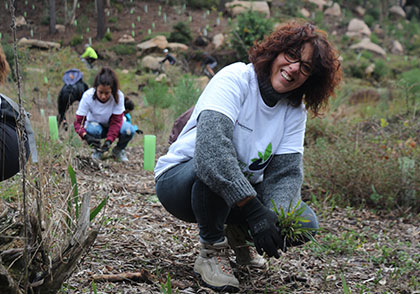 Volunteer work in Portugal
